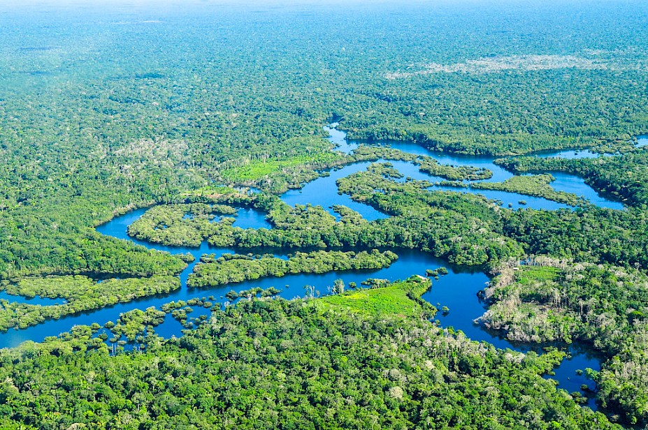 Pesticides released into Brazil's Amazon to degrade rainforest and ...